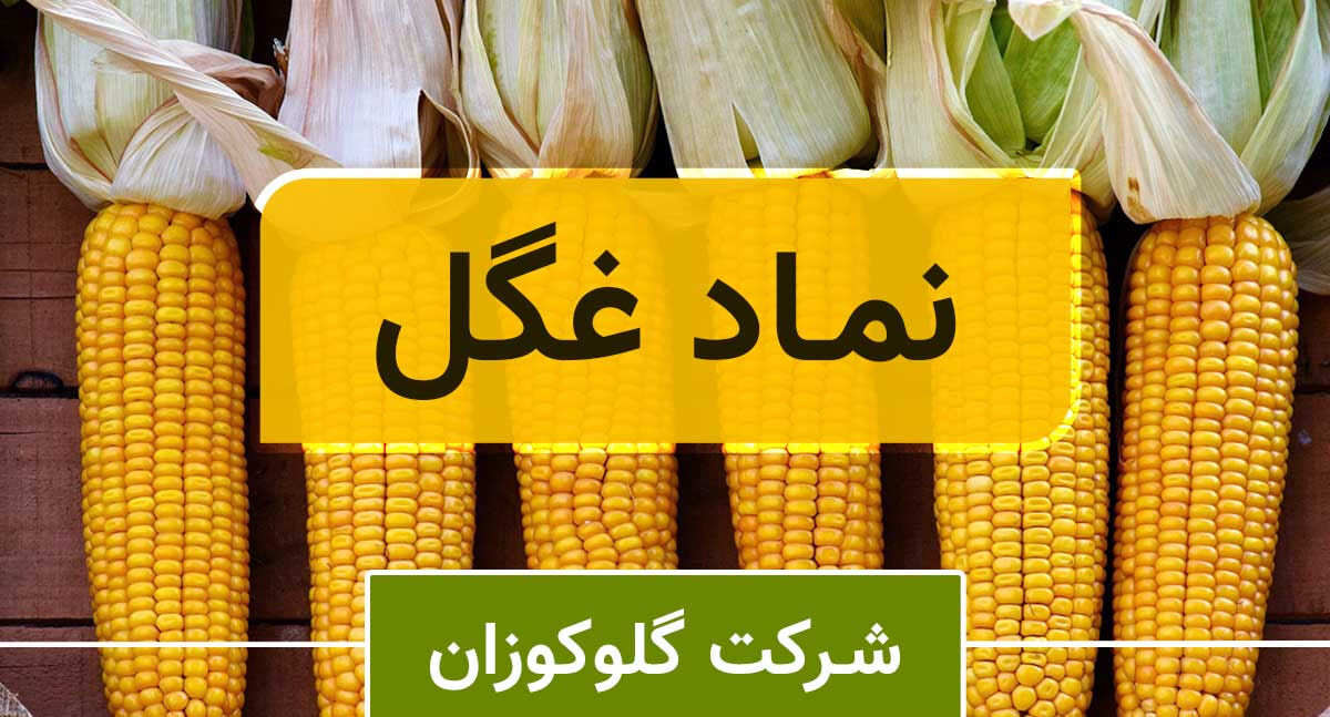 «غگل» در محدوده مناسب قیمتی