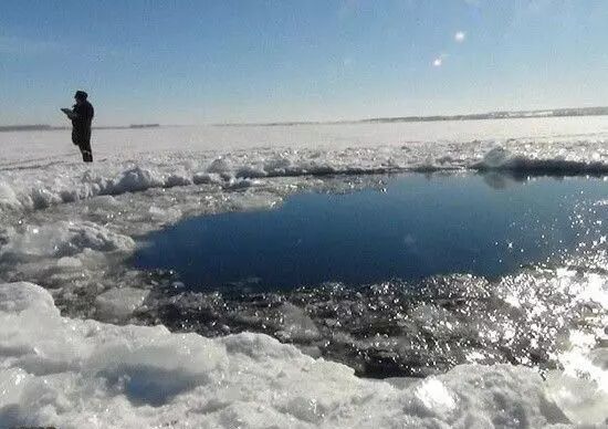 سرمای بی‌سابقه باعث یخ زدن پرندگان شد