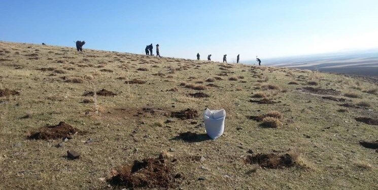 عمده منشا ریزگردهای گلستان خارجی است