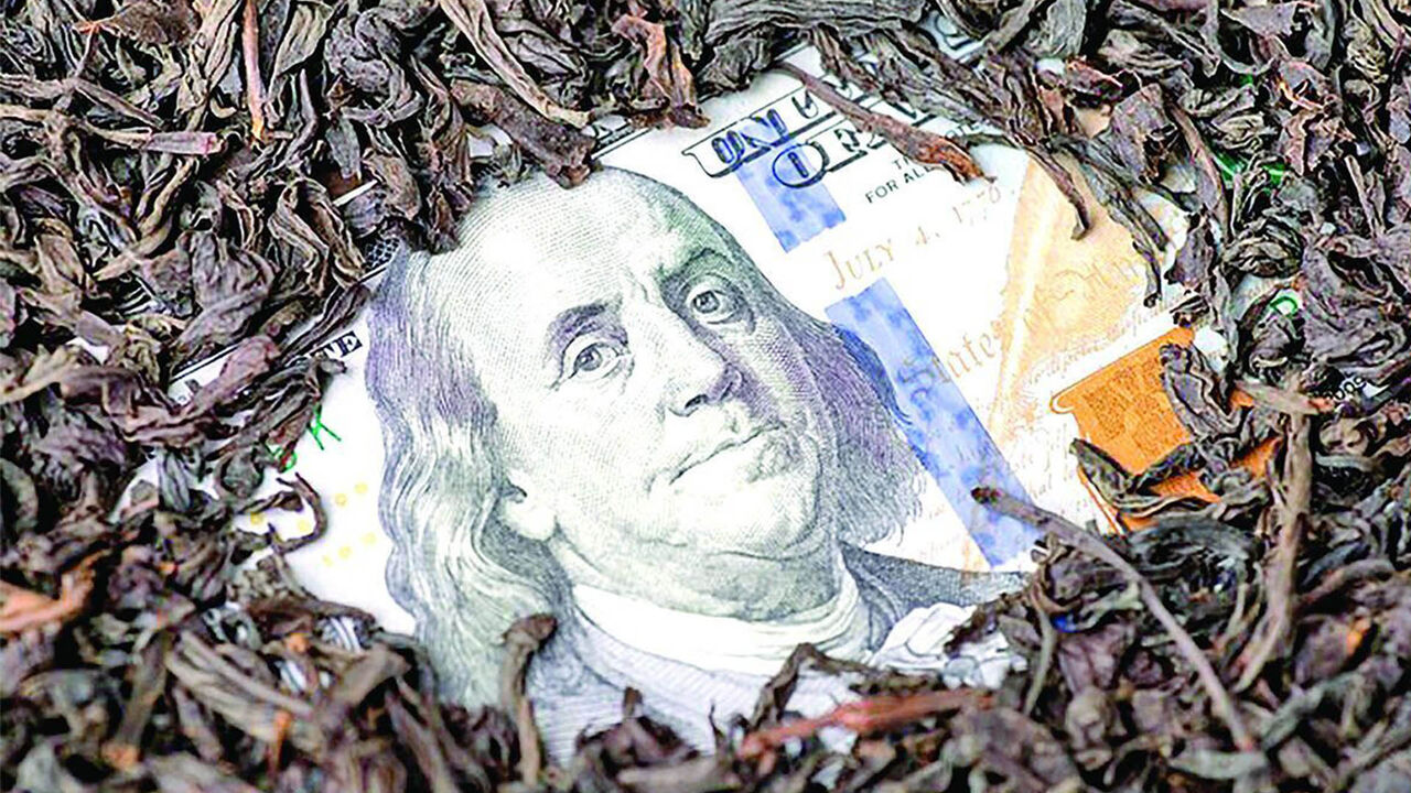 زیر و بم فساد ۳.۵میلیارد دلاری؛ چه کسی مقصر پرونده چای دبش است؟