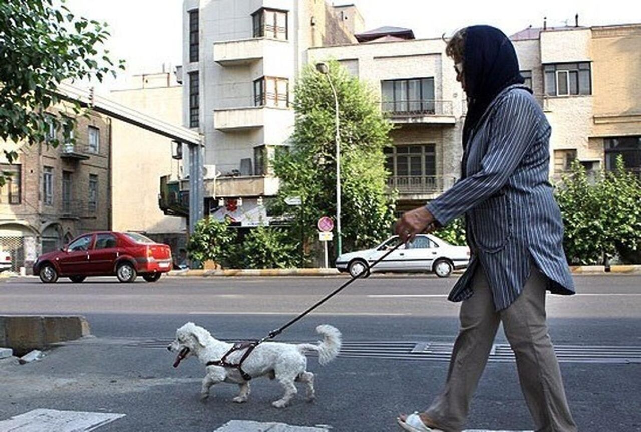 هزینه نجومی نگرانی سگ‌های خانگی!