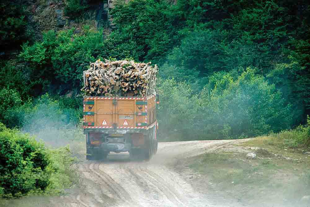 کشف ۱۵ تن چوب‌ قاچاق جنگلی در این شهر کوچک