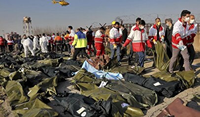 آخرین وضعیت پرونده هواپیمای اوکراینی؛ همه انصراف دادند، جز ۸ خانواده