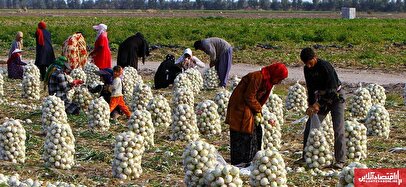 اشتغال‌زایی در اردبیل؛ ۲۴۴ طرح اقتصادی و سرمایه‌گذاری در روستاها آغاز شد