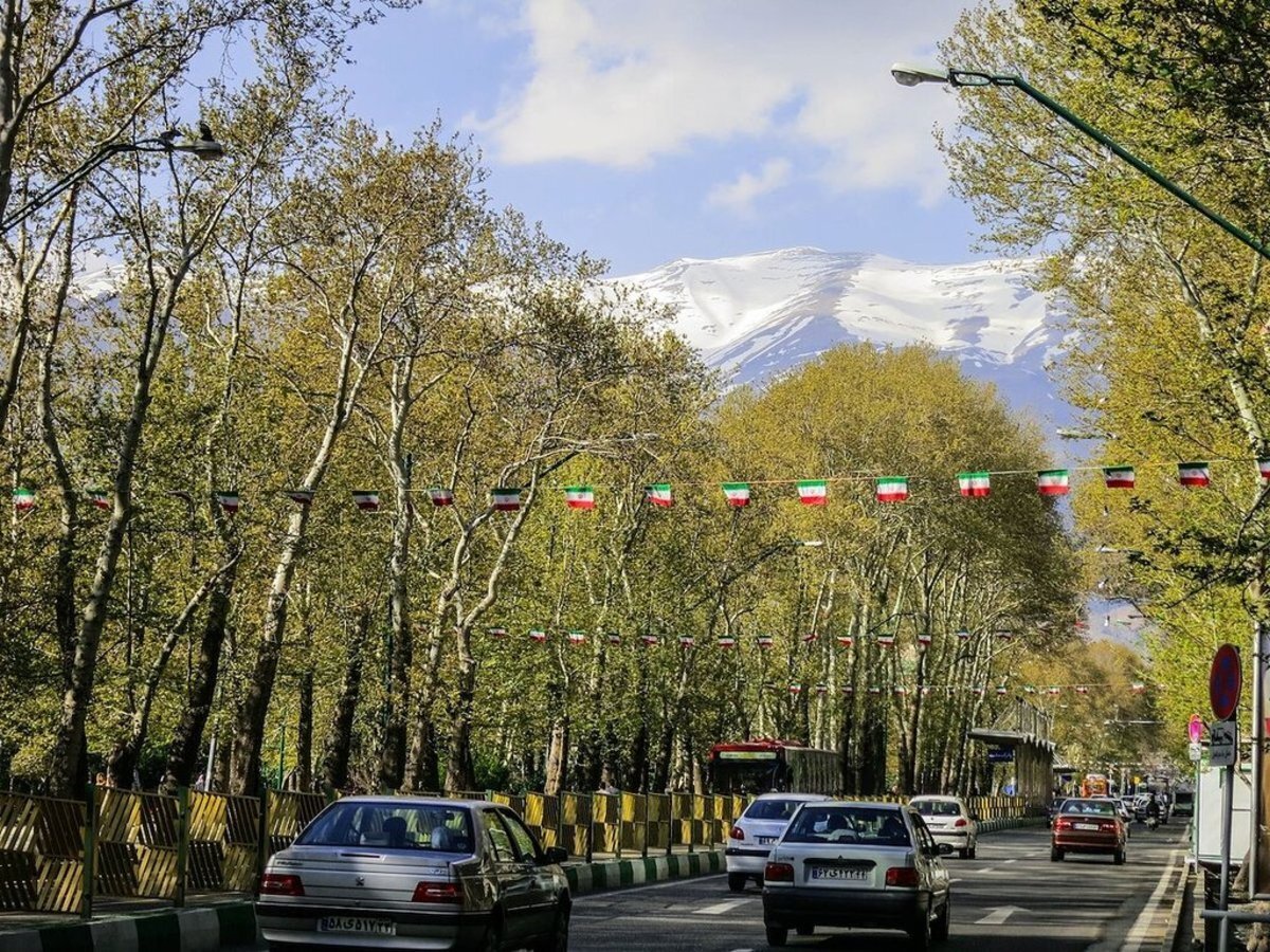 جریمه ۱۷۰ میلیاردی برای قتل عام درختان ولیعصر