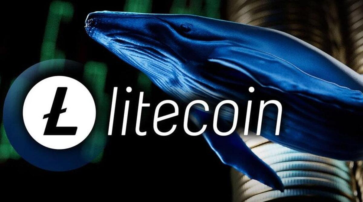 انباشت ۵۱۲ میلیون دلار LTC توسط نهنگ‌ها / تأیید ETF لایت‌کوین نزدیک است؟