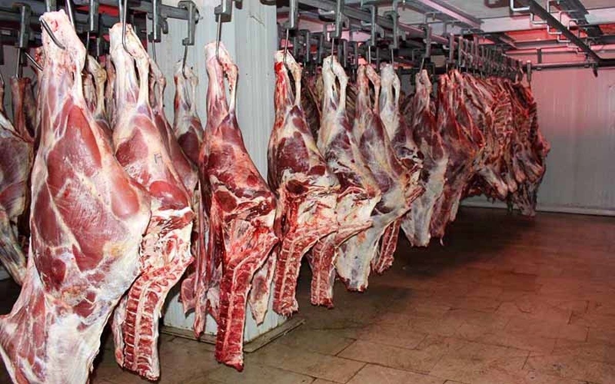 گوشت ارزان در تهران از کجا بخریم؟ /  خرید گوشت قرمز و مرغ زیر قیمت بازار! گوشت ارزان در تهران از کجا بخریم؟ /  خرید گوشت قرمز و مرغ زیر قیمت بازار!