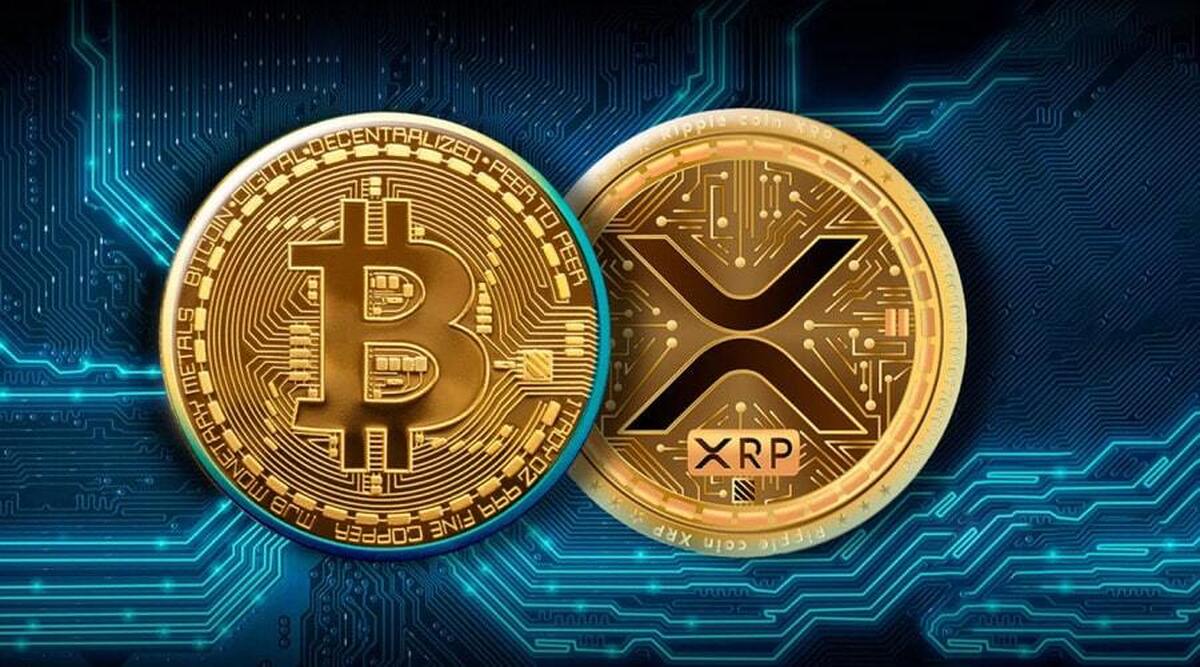 تنش‌ها میان بیت‌کوین و ریپل تمام می‌شود؟/ پیتر تاد درباره XRP چه می‌گوید؟