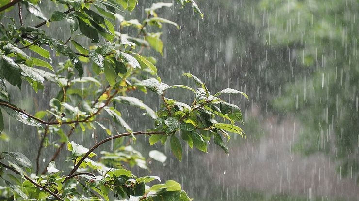 امواج رگبار به ایران می آیند