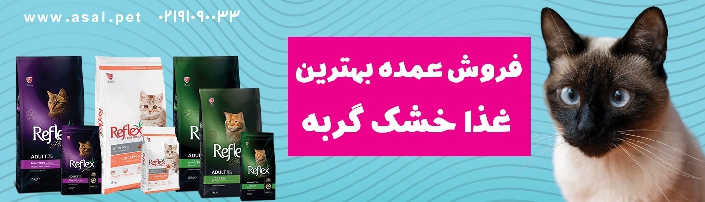 مرکز پخش و فروش غذای گربه در تهران + آدرس و شماره تماس پت شاپ