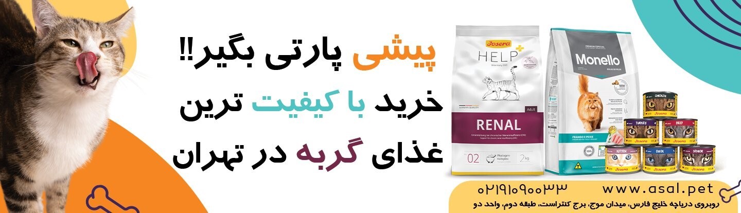 مرکز پخش و فروش غذای گربه در تهران + آدرس و شماره تماس پت شاپ