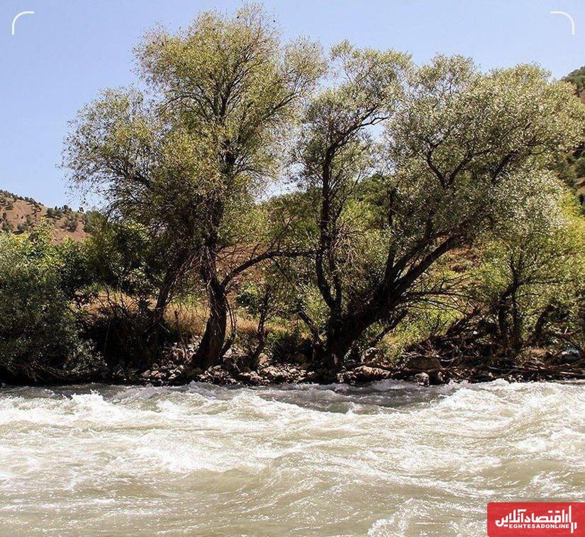 فوت ۳ گردشگر ارومیه‌ای بر اثر غرق شدگی در رودخانه زاب سردشت 