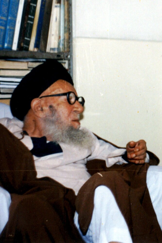 دیدار آیت الله خامنه‌ای با عارف مشهور + عکس