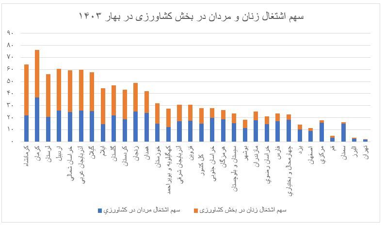 مشارکت اقتصادی مردها خیلی بیشتر از زن‌هاست؟
