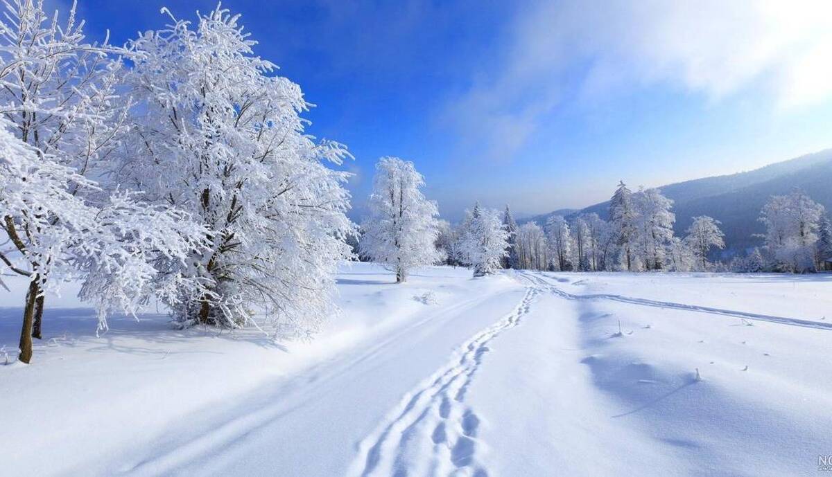 آماده-باشید-یک-زمستان-سخت-در-راه-است