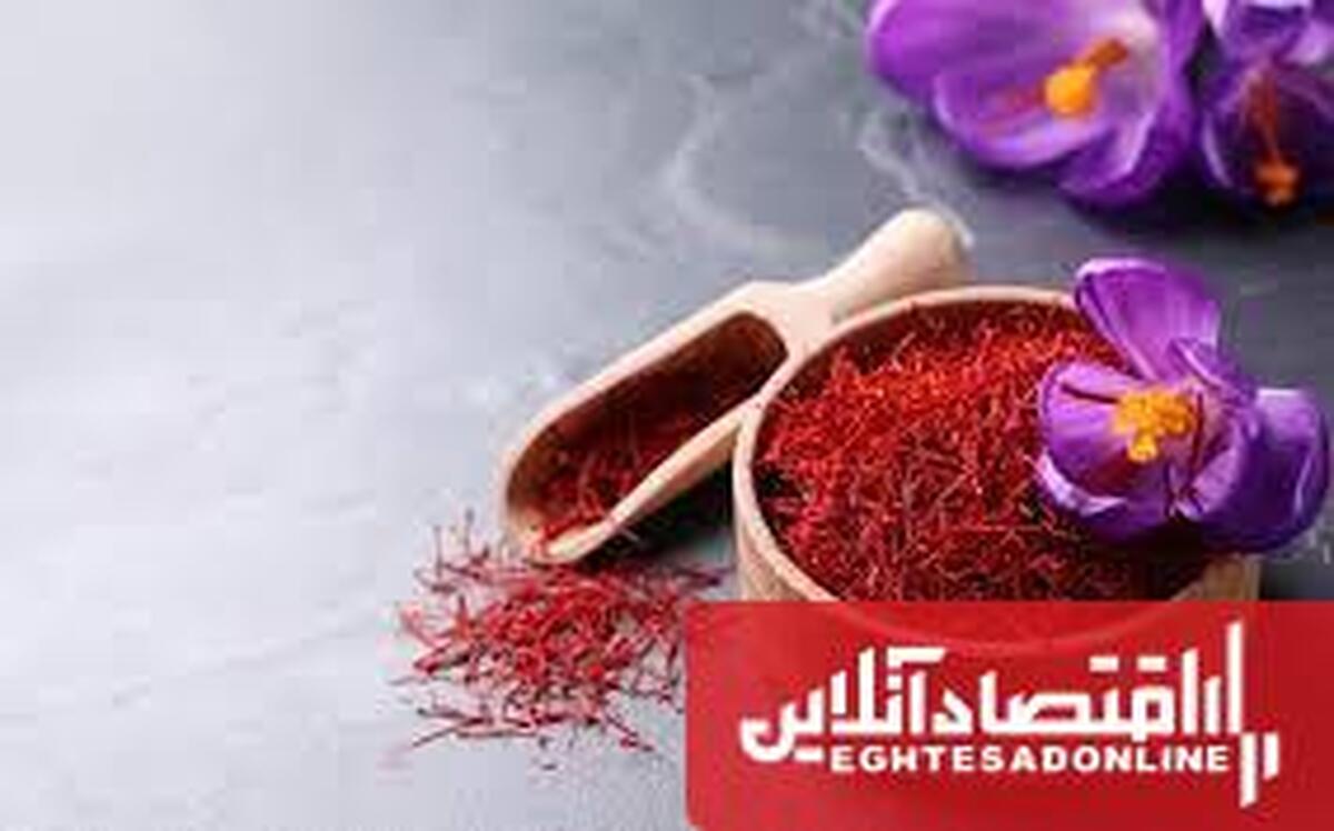 رشد ۵۰ درصدی تولید زعفران در آذربایجان شرقی؛ ۴۲۵ هکتار زیرکشت