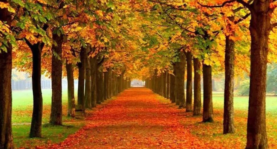 پاییز کجای شمال بریم؟ / معرفی و آدرس جاهای دیدنی شمال در پاییز
