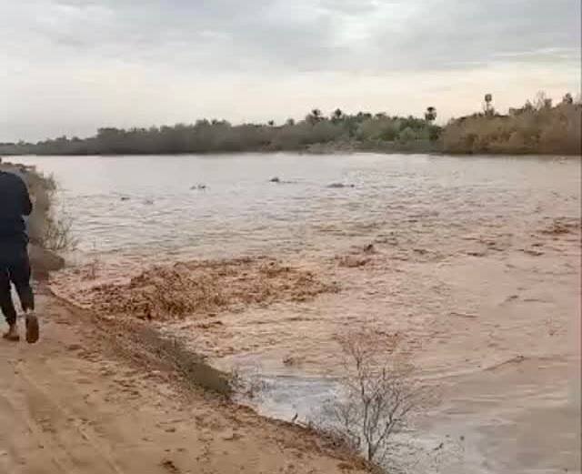 سیل‌بند در این منطقه شکست/ زمین‌های کشاورزی زیر آب رفت