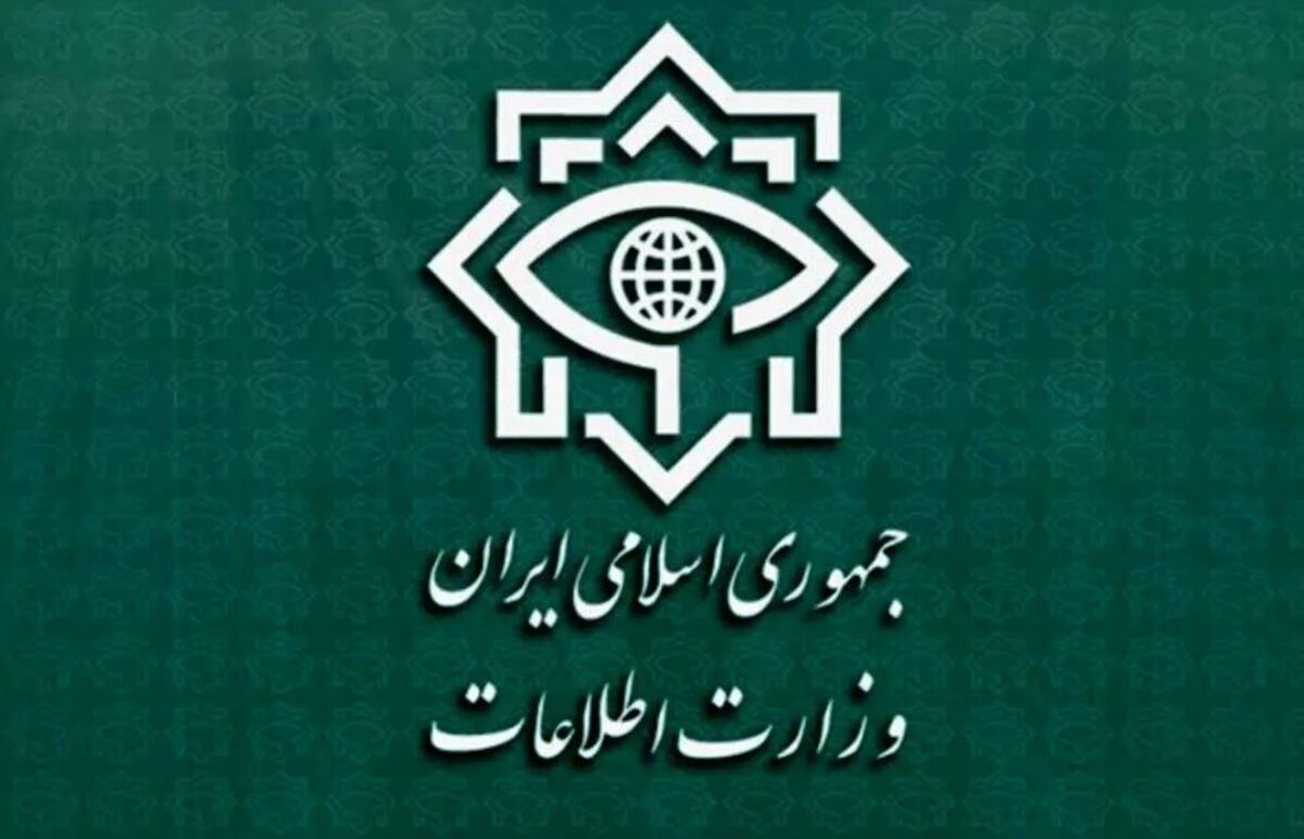 ارسال پیامک هشدار از سوی وزارت اطلاعات برای مردم / عضویت در صفحات مجازی با هدف ترغیب برای برهم‌زدن نظم و شرکت در تجمعات پیگرد قضایی دارد