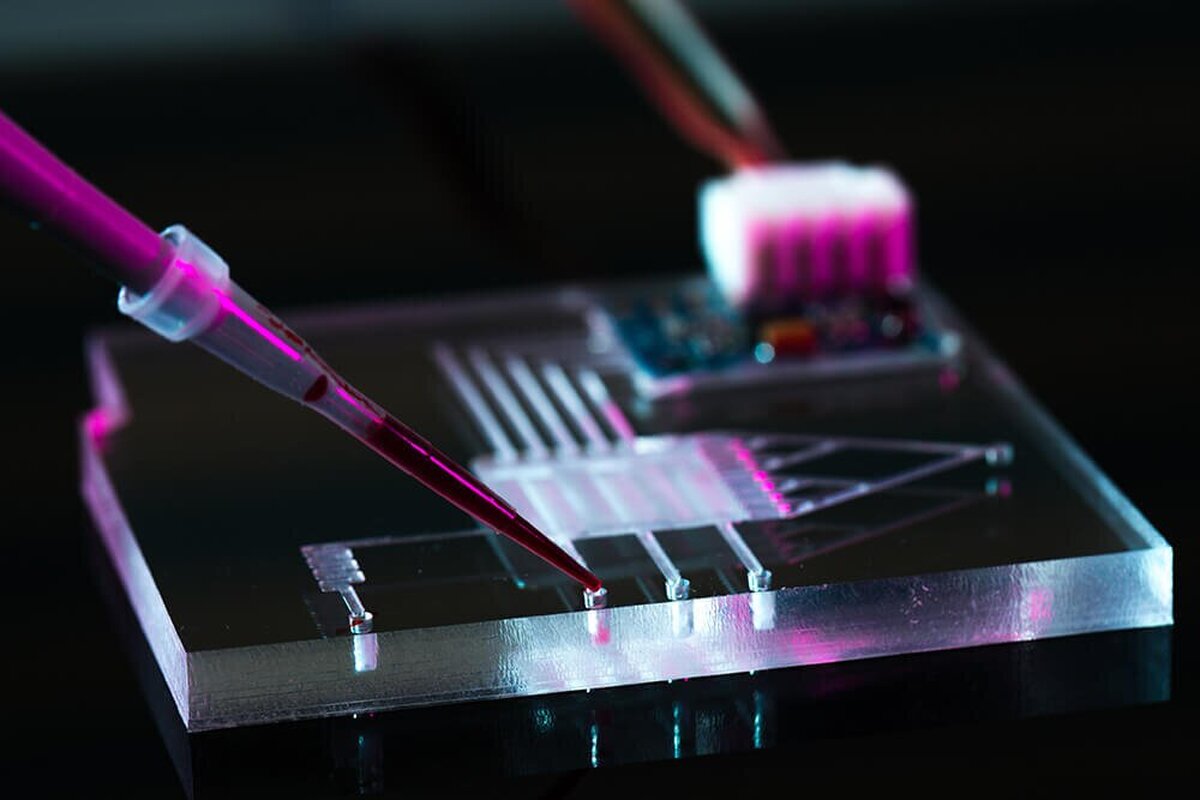 هوش مصنوعی به کمک علم پزشکی آمد/ تشخیص حمله قلبی و سرطان کبد در ۱۰ ثانیه