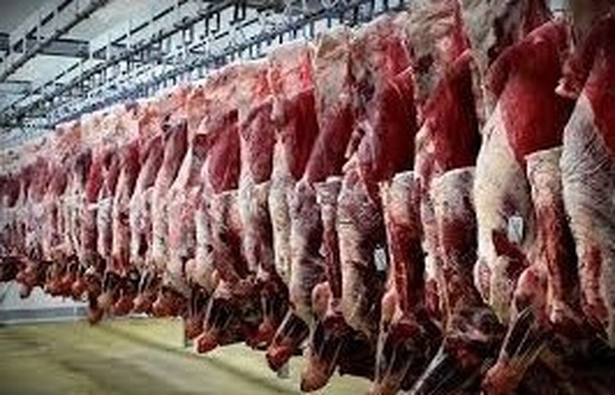 قیمت گوشت اعلام شد/ تامین نیاز بازار پس از حذف ارز ترجیحی