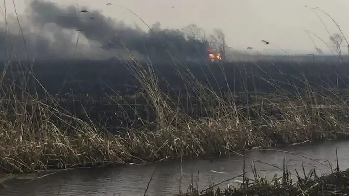 باران به داد آتش هورالعظیم رسید