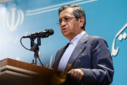 کمبودی در حوزه روغن وجود ندارد / قیمت‌ها به تعادل می‌رسد