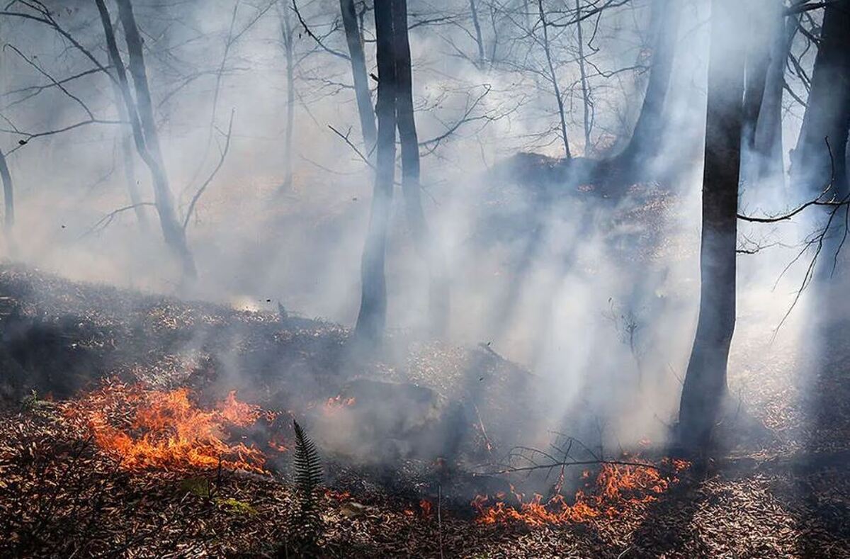 آتش سوزی گسترده در جنگل‌های گیلان/ ۲۰ هکتار دو شبانه روز در آتش سوخت