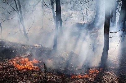 آتش سوزی گسترده در جنگل‌های گیلان/ ۲۰ هکتار دو شبانه روز در آتش سوخت