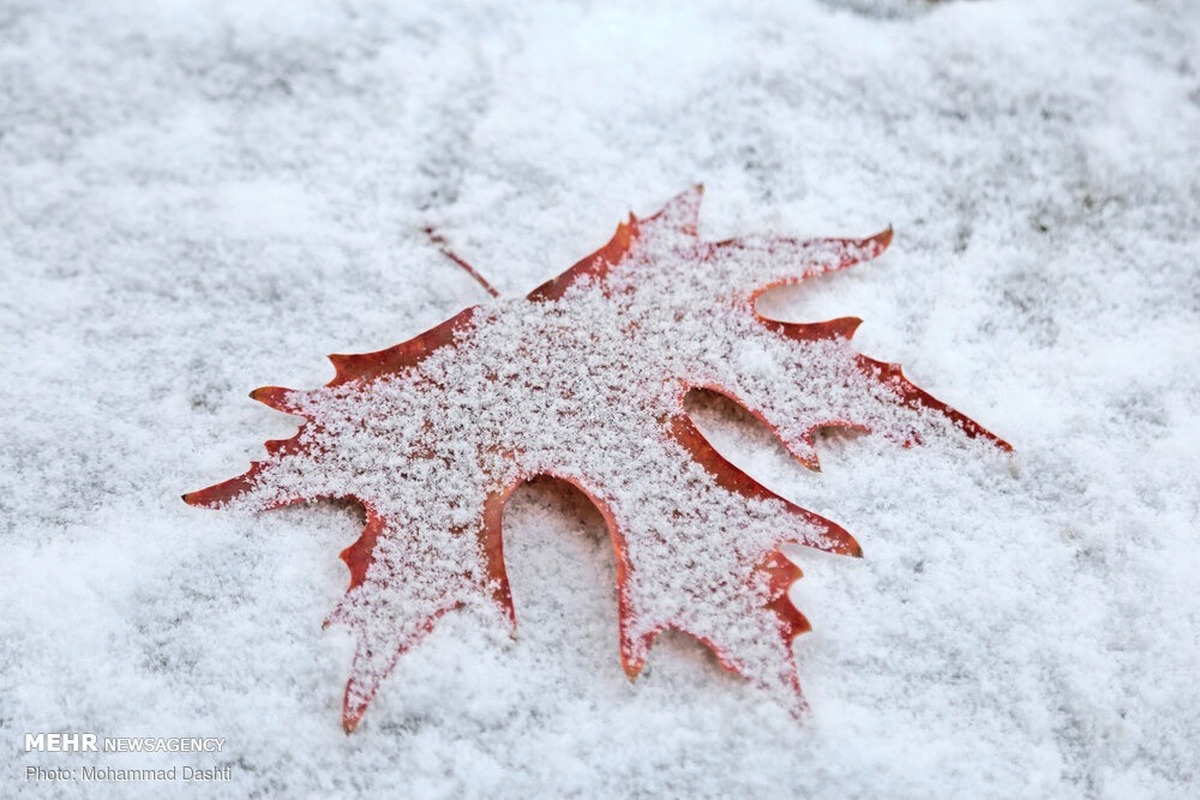 وضعیت جوی استان تهران طی دو روز آینده / پایان هفته برفی برای این استان ها پیش بینی شد