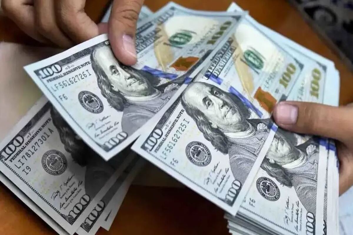 بازگشت ارز سهمیه‌ای / به هر ایرانی ۱۰۰۰ یورو ارز دولتی تعلق می‌گیرد + شرایط