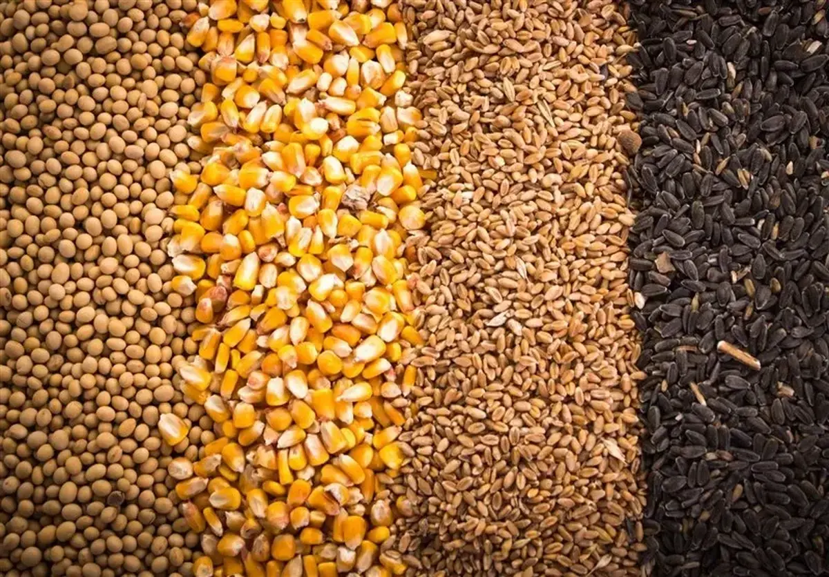 آخرین وضعیت نهاده‌های دامی کشور