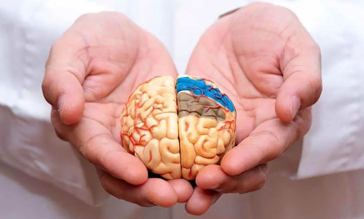 چند راه ساده برای تقویت حافظه / از سلامت مغز در میان‌سالی غافل نشوید