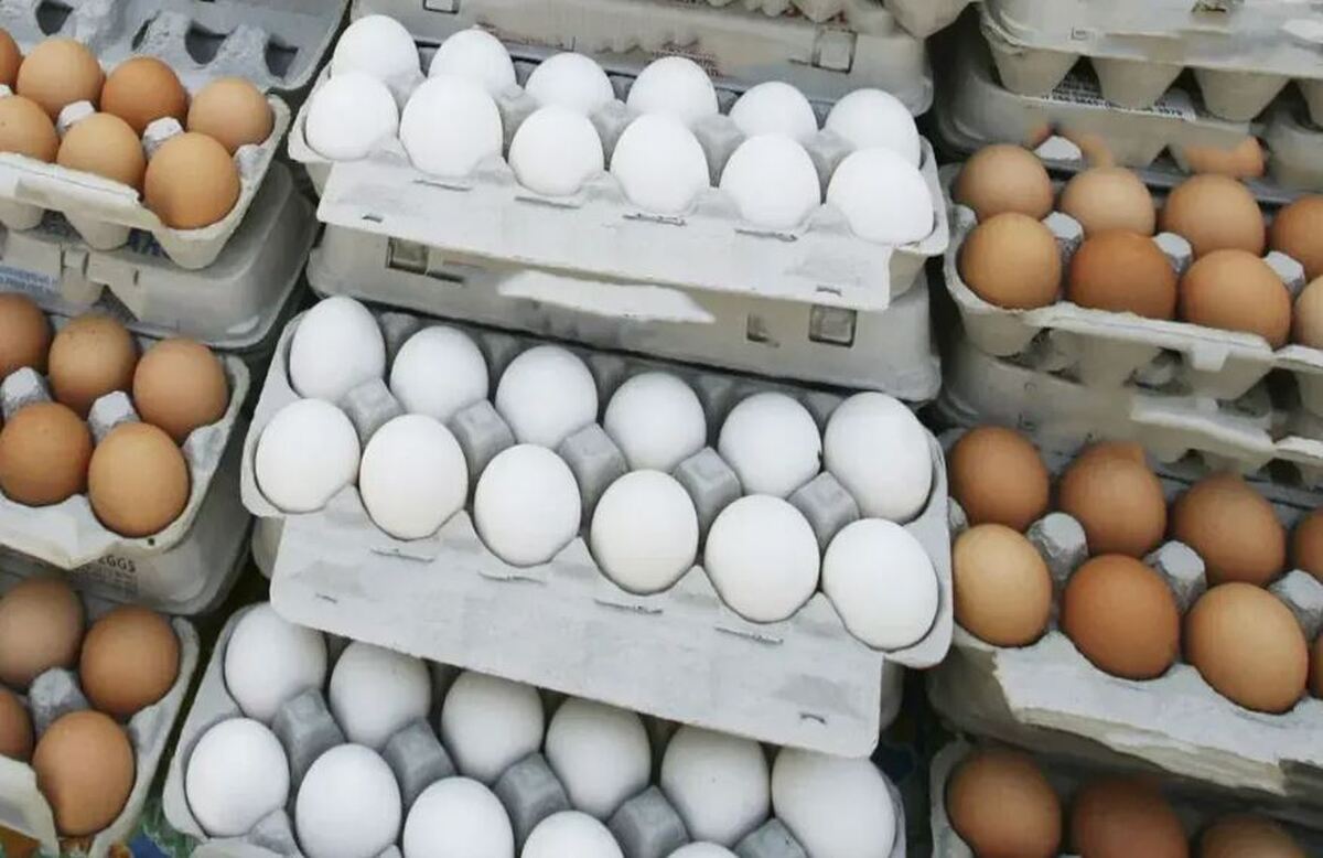 قیمت تخم مرغ در فروشگاه‌های زنجیره‌ای / کاهش قیمت به دنبال کاهش خرید مردم