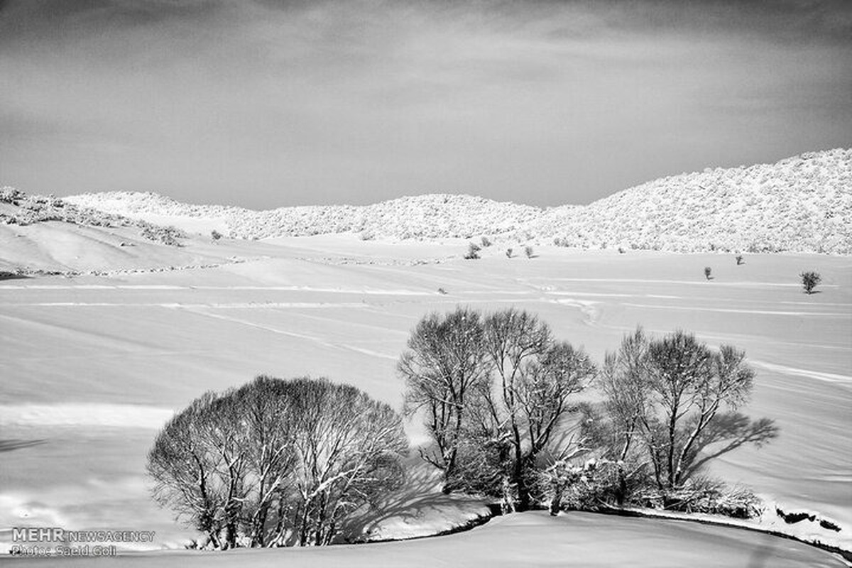 پیش‌بینی هوای کشور تا پایان هفته / بارش برف و باران در مناطق مختلف کشور ادامه دارد