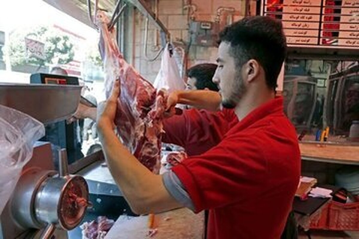 قیمت گوشت کاهش می‌یابد؟ / گوشت گوسفندی سر به فلک کشید