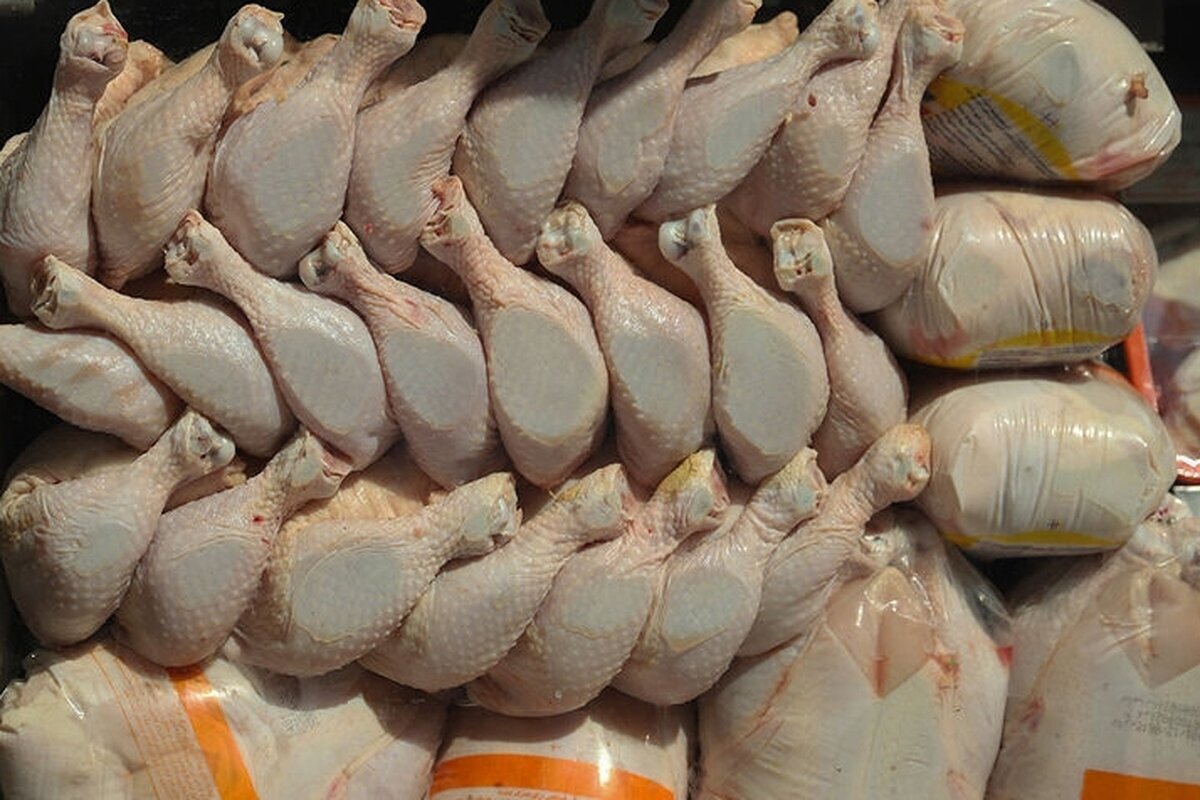 اعلام جدیدترین قیمت مرغ امروز ۳۰ دی ۱۴۰۴/ قیمت مرغ چقدر پایین آمد؟