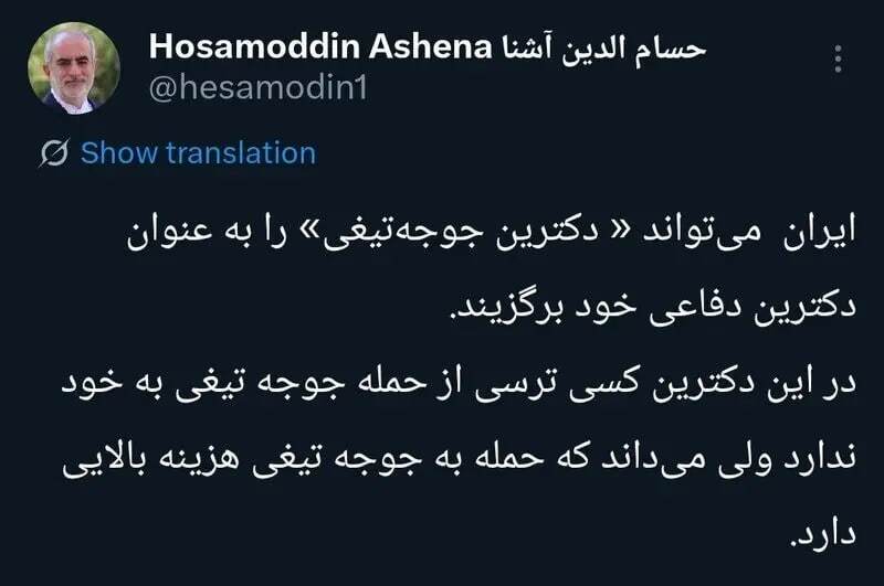 پیشنهاد عجیب مشاور روحانی برای دکترین دفاعی ایران / ایران باید جوجهتیغی شود! پیشنهاد عجیب مشاور روحانی برای دکترین دفاعی ایران / ایران باید جوجهتیغی شود!