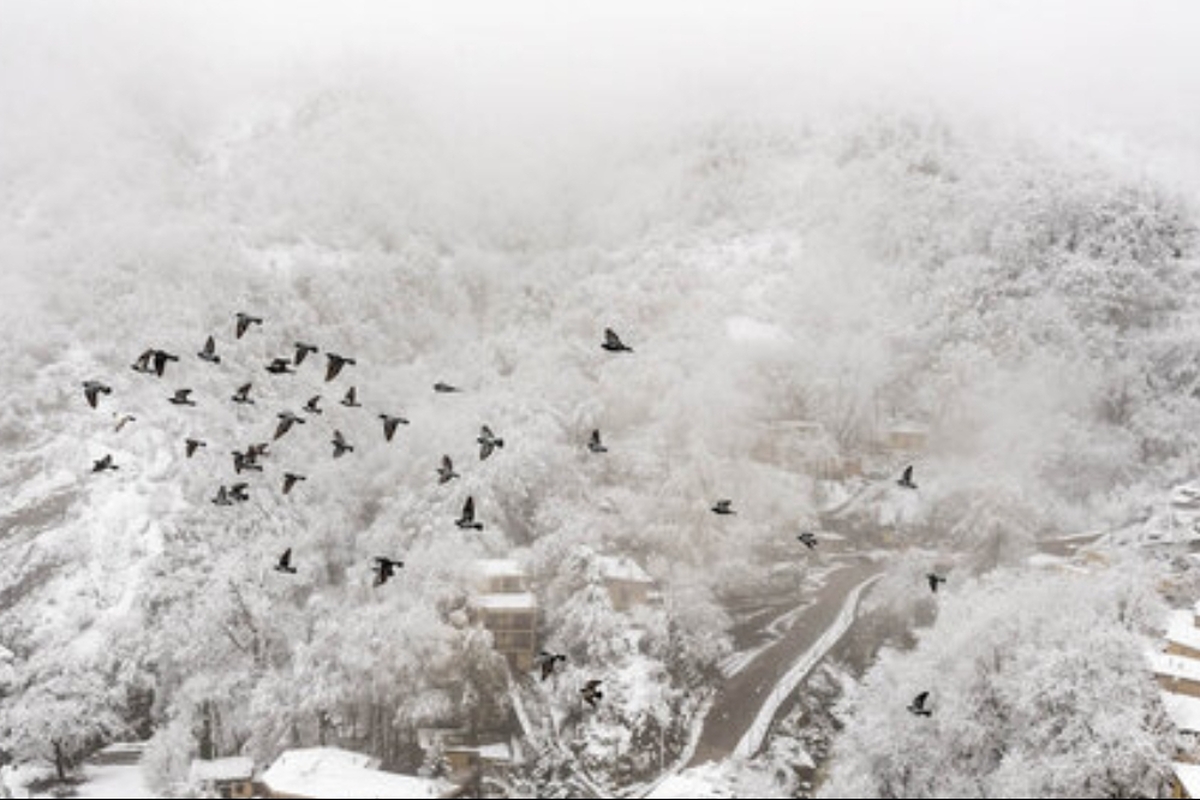 هواشناسی استان فارس ۶ دی ۱۴۰۴ / این شهرستان‌ها منتظر بارش برف و باران باشند
