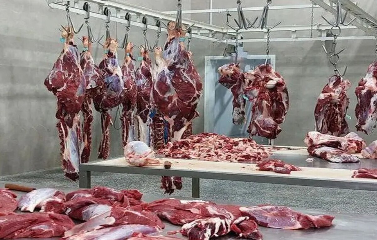 عرضه گوشت قرمز دولتی آغاز شد / گوشت را  کیلویی ۵۰۰ هزارتومان ارزان‌تر بخرید