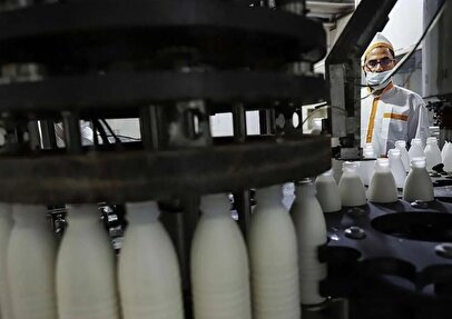 قیمت جدید شیر اعلام شد