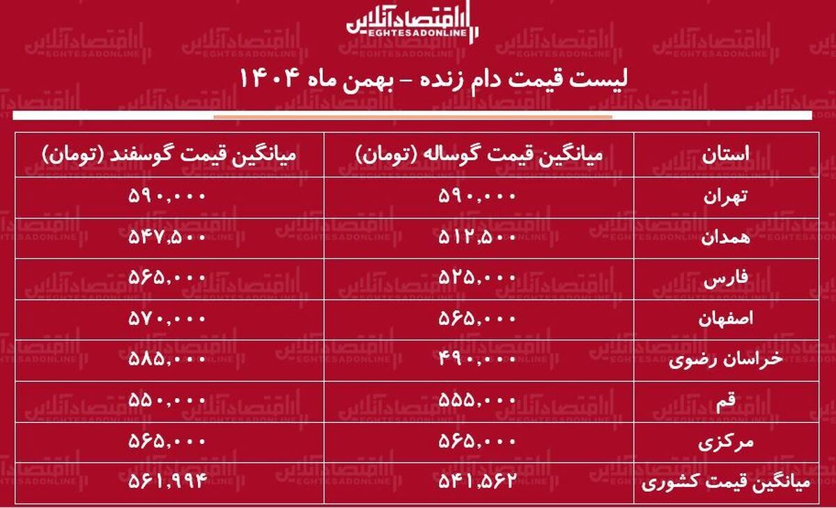 قیمت جدید دام زنده امروز ۱۱ بهمن ۱۴۰۴ / گوسفند زنده کیلویی چند شد؟ + جدول