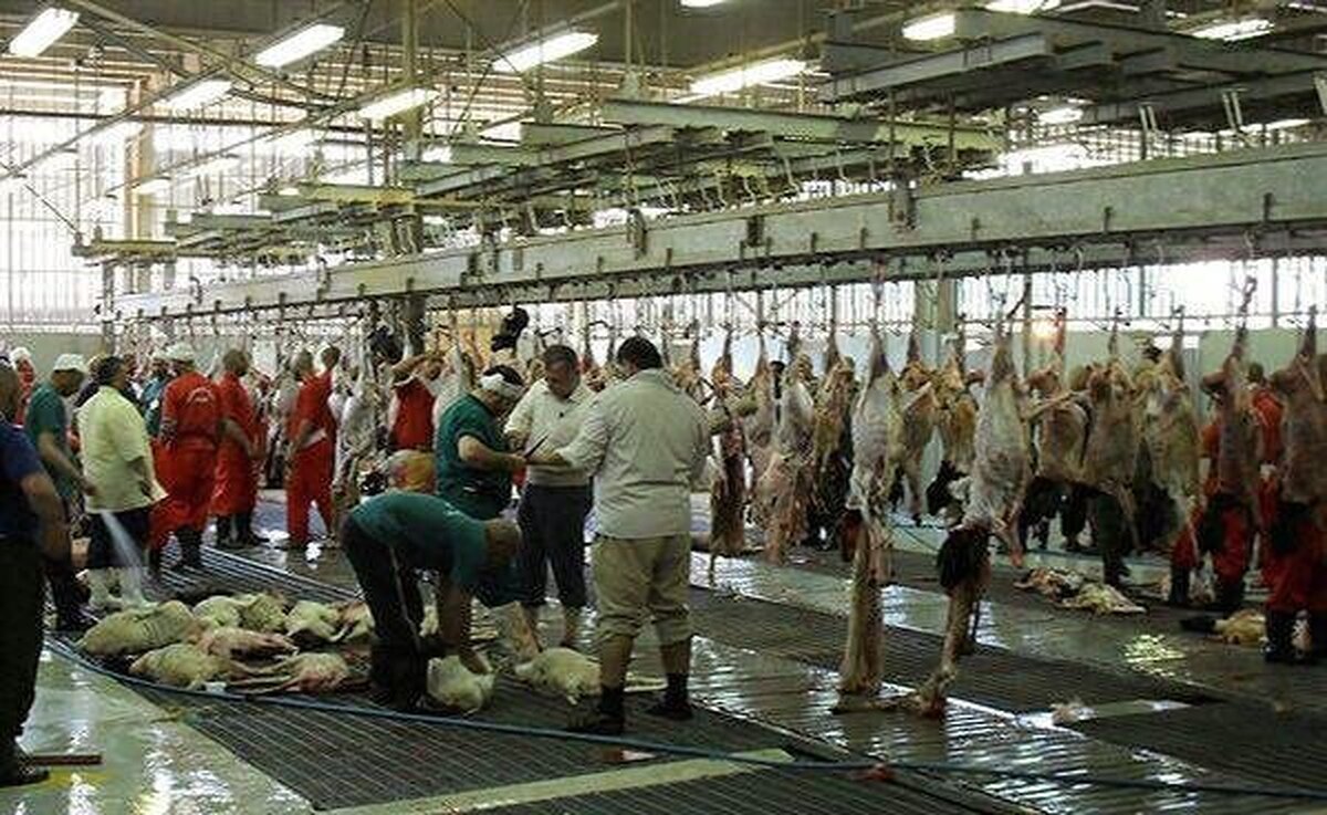 جزئیات و نحوه پرداخت وجه قربانی حج تمتع ۱۴۰۵ اعلام شد