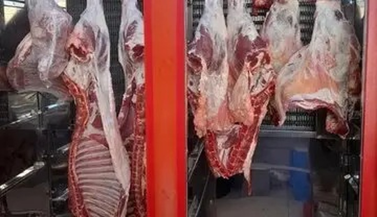 شوک قیمتی در بازار / گوشت قرمز ارزان شد
