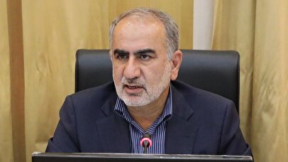 حذف ارز ترجیحی، رانت را مهار کرد