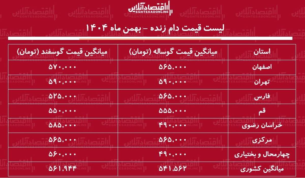 قیمت جدید دام زنده امروز ۲۵ بهمن ۱۴۰۴ / گوسفند زنده کیلویی چند شد؟ + جدول