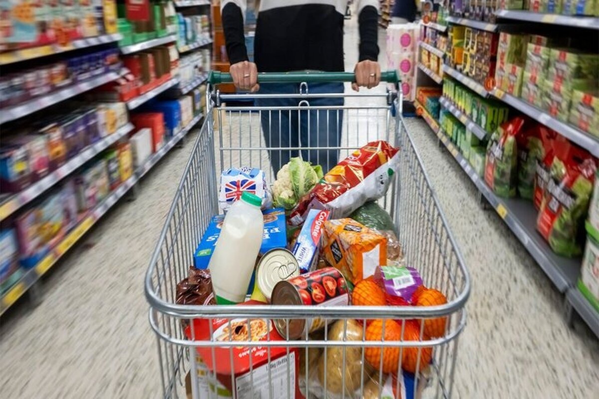 زلزله در بازار کالاهای اساسی / تخم‌مرغ دوباره ارزان شد