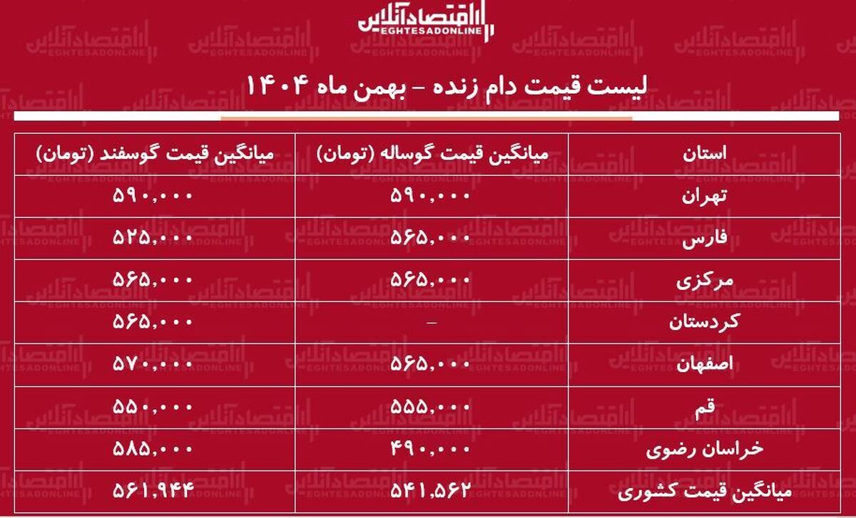 لیست قیمت دام زنده امروز ۲۷ بهمن ۱۴۰۴ / قیمت گوساله و گوسفند در تهران چند شد؟ + جدول
