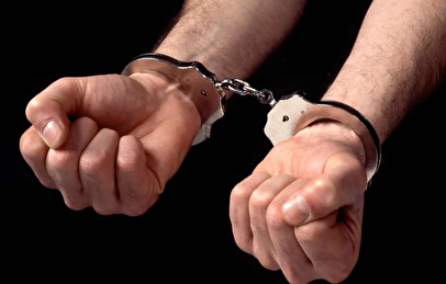 سرقت پرندگان شکاری از پردیسان/ نقشه سارقان لو رفت