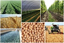 اینفوگرافیک/ کدام استان‌ها بیشترین تولید محصولات زراعی را دارند؟